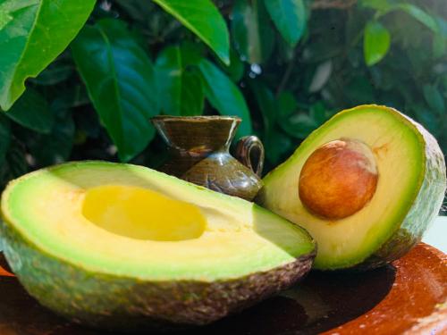 Aguacate Hass prime, 1/2 Kilo