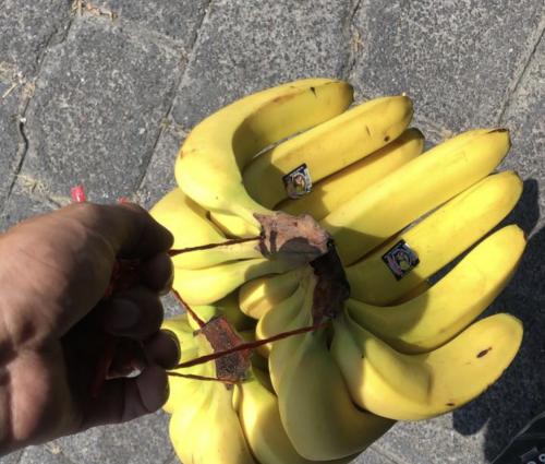 Platano Chiapas/Tabasco, 1/2 Kilo.