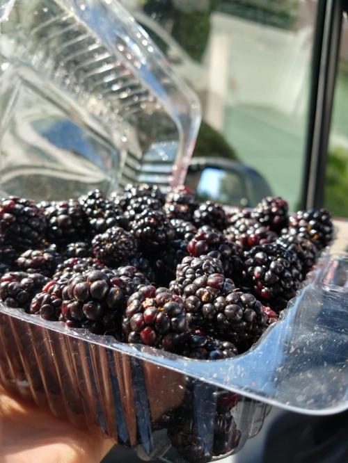 Zarzamora orgánica, 180 g.