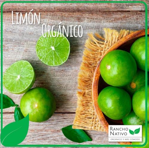 Limón agrio sin semilla, 1/2 Kg.